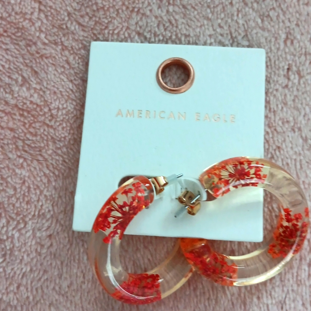 American Eagle Lucite Floral Hoop Earrings